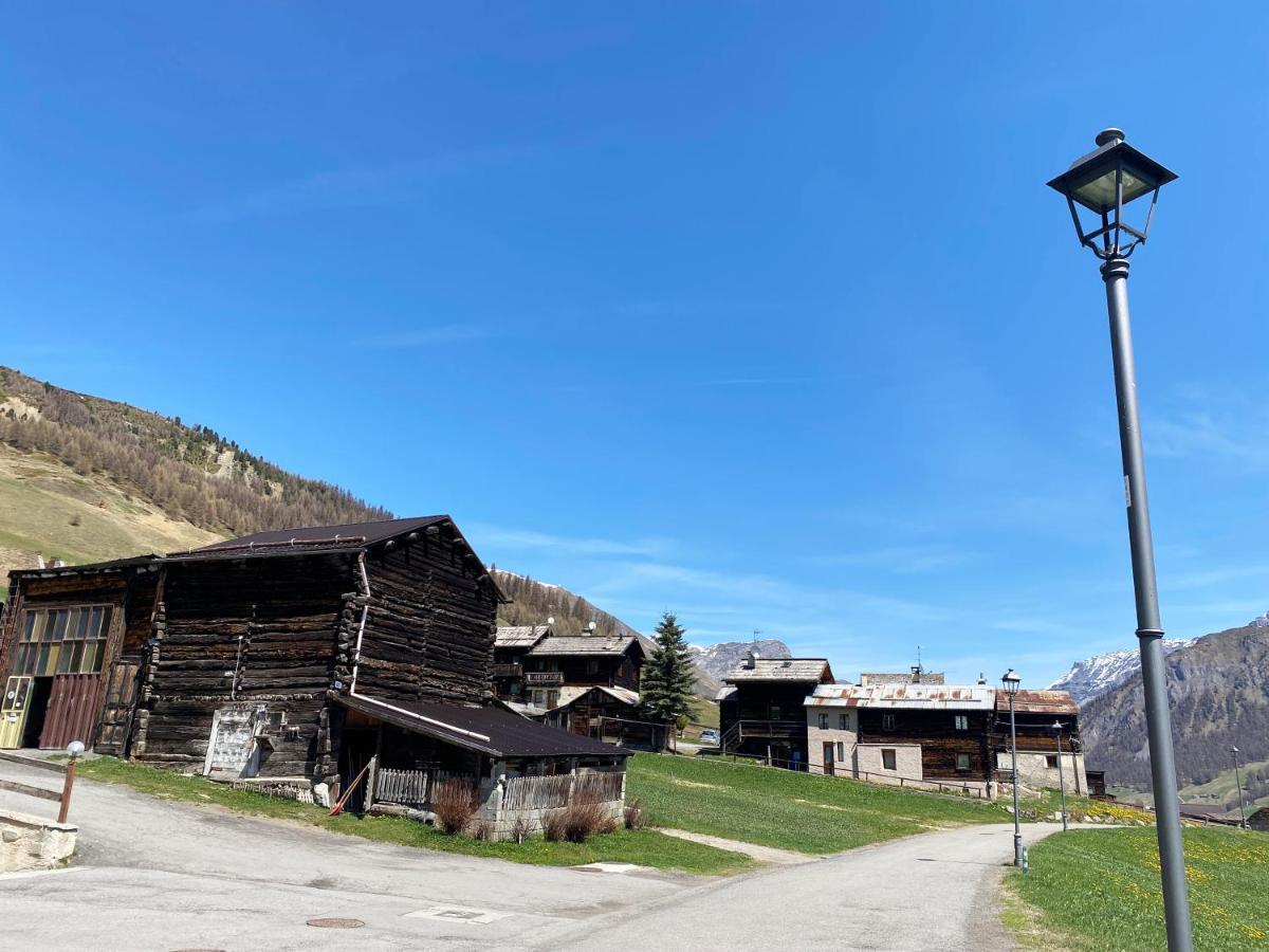 Mountain Chalet Milly 利维尼奥 外观 照片